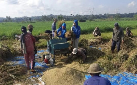 di-tengah-libur-lebaran-bulog-terus-pastikan-stok-cbp-tercapai